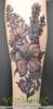 forearm